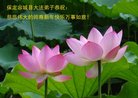ֹ,ӱ󷨵ӹףʦ(35)