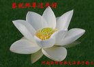 ֹ,ϴ󷨵ӹףʦ(28)