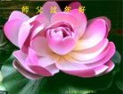 ֹ,ʯׯ󷨵ӹףʦ(29)
