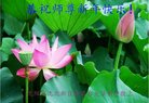 ֹ,󷨵ӹףʦ(22)
