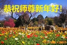 ֹ,󷨵ӹףʦ(27)
