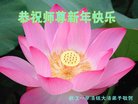 ֹ,󷨵ӹףʦ(29)