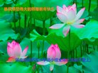 ֹ,֣ݴ󷨵ӹףʦ(27)