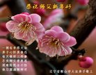 ֹ,󷨵ӹףʦ(27)