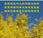 ֹ,󷨵ӹףʦ(22)