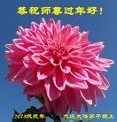 ֹ,󷨵ӹףʦ(20)