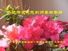 ֹ,󷨵ӹףʦ(19)