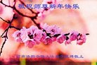 ֹ,ϴ󷨵ӹףʦ(17)