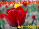 ֹ,ӱ󷨵ӹףʦ(20)