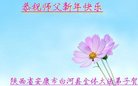 ֹ,󷨵ӹףʦ(21)