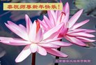 ֹ,󷨵ӹףʦ(20)