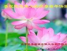 ֹ,󷨵ӹףʦ(23)
