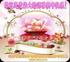 ֹ,󷨵ӹףʦ(19)