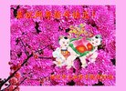 ֹ,󷨵ӹףʦ(19)
