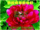 ֹ,ɹŴ󷨵ӹףʦ(22)