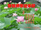 ֹ,󷨵ӹףʦ(19)