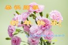 ֹ,󷨵ӹףʦ(19)