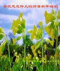 ֹ,󷨵ӹףʦ(28)