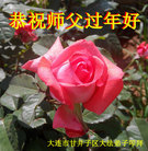 ֹ,󷨵ӹףʦ(28)