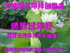 ֹ,󷨵ӹףʦ(19)