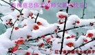 ֹ,󷨵ӹףʦ(18)