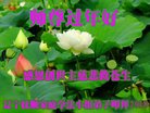 ֹ,󷨵ӹףʦ(18)
