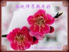 ֹ,󷨵ӹףʦ(20)
