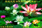 ֹ,󷨵ӹףʦ(24)