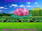 ֹ,󷨵ӹףʦ(28)