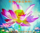 ֹ,󷨵ӹףʦ(28)