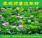 ֹ,󷨵ӹףʦ(21)