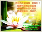 ֹ,󷨵ӹףʦ(19)