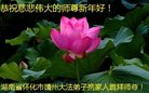 ֹ,ϴ󷨵ӹףʦ(19)