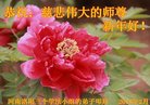 ֹ,ϴ󷨵ӹףʦ(25)