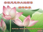 ֹ,󷨵ӹףʦ(19)