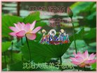 ֹ,󷨵ӹףʦ(21)