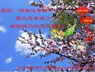 ֹ,󷨵ӹףʦ(25)