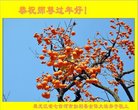 ֹ,󷨵ӹףʦ(19)