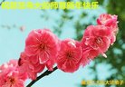 ֹ,󷨵ӹףʦ(22)