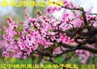 ֹ,ݴ󷨵ӹףʦ(19)