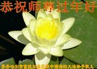 ֹ,󷨵ӹףʦ(20)