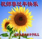 ֹ,ݴ󷨵ӹףʦ(22)