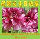 ֹ,󷨵ӹ編ִʦ𻪵(24)