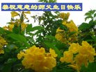 ֹ,ݴ󷨵ӹ編ִʦ𻪵(22)