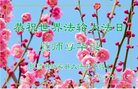 ֹ,󷨵ӹ編ִʦ𻪵(20)