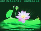 ֹ,󷨵ӹ編ִʦ𻪵(20)