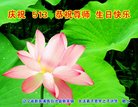 ֹ,󷨵ӹ編ִʦ𻪵(20)