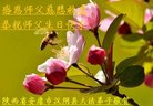 ֹ,󷨵ӹ編ִʦ𻪵(21)