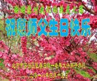 ֹ,󷨵ӹ編ִʦ𻪵(20)