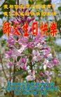 ֹ,󷨵ӹ編ִʦ𻪵(20)